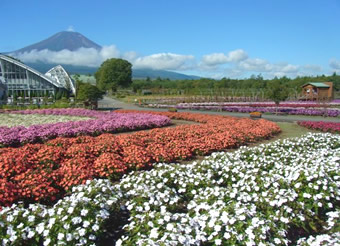 花の都公園